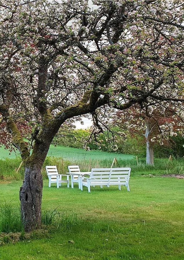 Minnesberg Bed & Breakfast Trelleborg Eksteriør bilde